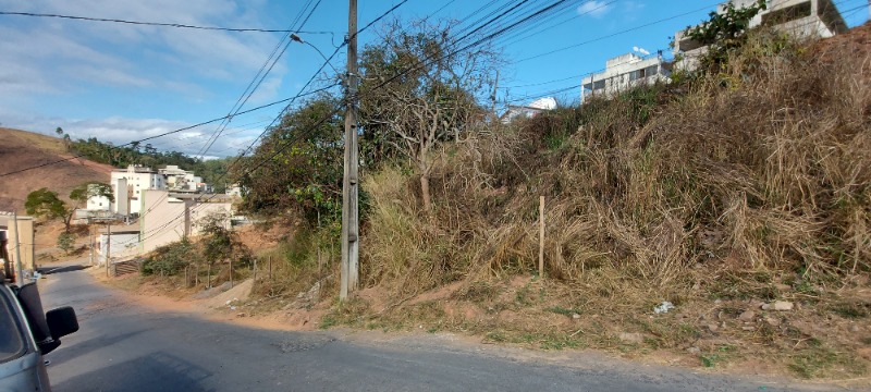 imagem do imvel 55